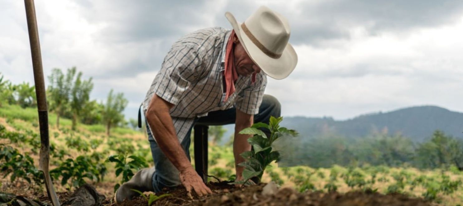 De la incertidumbre a la estabilidad. Liquidación sentencias judiciales - Estabilidad financiera inmediata